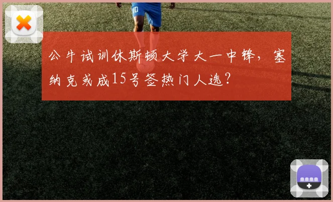 公牛试训休斯顿大学大一中锋，塞纳克或成15号签热门人选？
